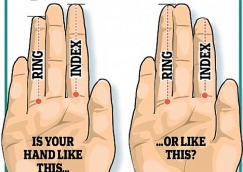 Formato dos dedos pode revelar tamanho do pênis;  veja