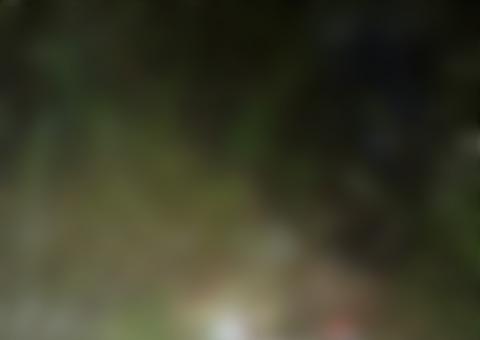 Acidente com microônibus que transportava 'testemunhas de Jeová' deixa ao menos 3 mortos no Amazonas