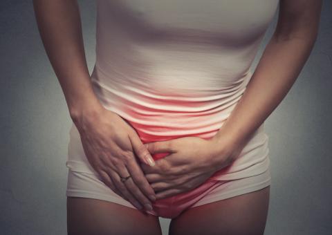 Planta auxilia no tratamento de infecções no sistema urinário