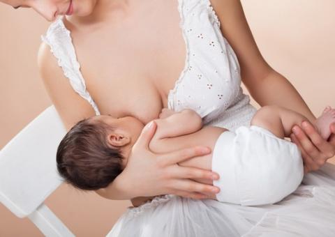 Semente pode combater anemia e favorece a lactação 