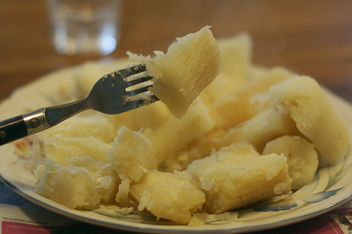 Mandioca Brava: remédio ou veneno 