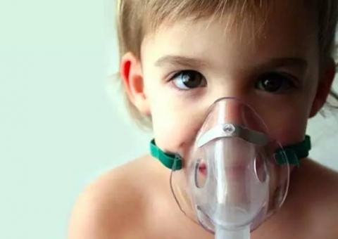 Conhecido como 'rei da floresta', planta pode ser usada para combater asma