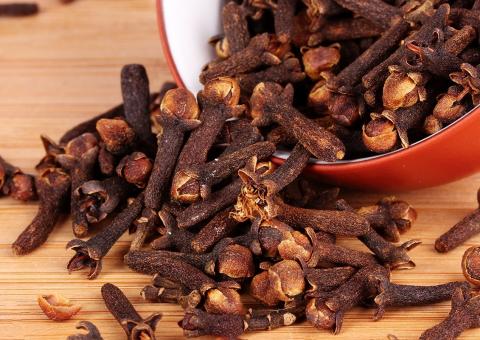 Rico em vitaminas essenciais: Conheça os benefícios do Cravo da Índia