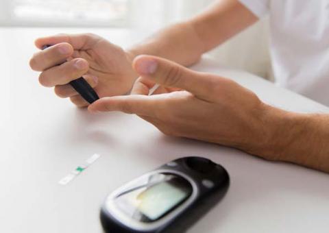 Utilizada na medicina caseira, planta pode combater a diabetes