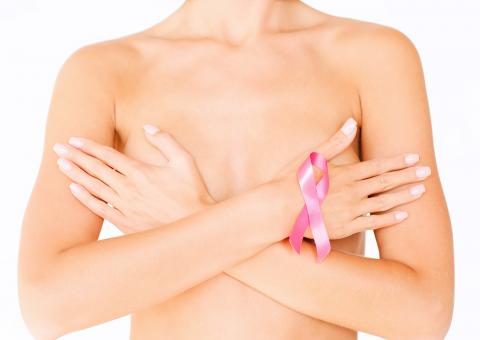 Planta é estudada pelos efeitos contra câncer 