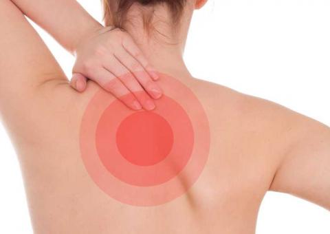 Com efeito  cicatrizante, erva controla reumatismo e artrite