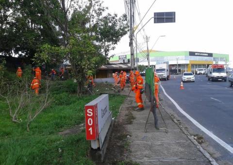 Mutirões de limpeza se intensificam na zona Sul  