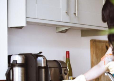 Empresa oferece serviço de diarista naturista por R$ 260 a hora