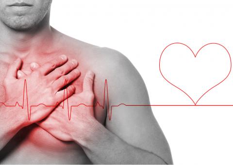 Chá das folhas de Agripalma pode prevenir infartos