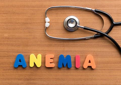 Planta rica em ferro ajuda a combater anemia