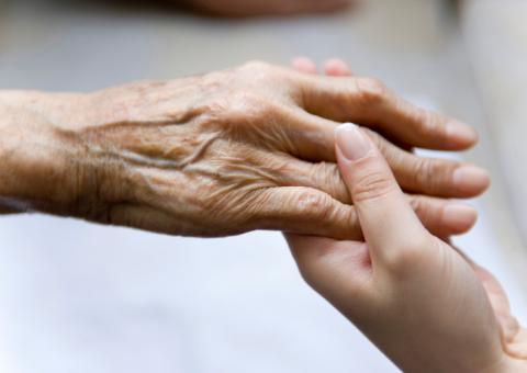 Planta pode ajudar a prevenir derrame cerebral e Mal de Parkinson