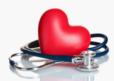 Planta com efeito hipoglicêmico pode combater diabetes e colesterol