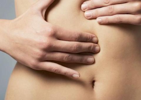 Planta conhecida como 'Pau-tenente' pode tratar doenças no estômago