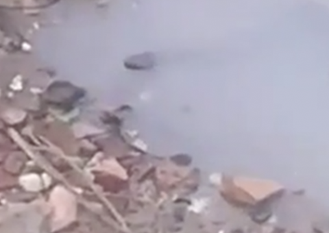 Em Manaus, cobra é retirada de igarapé minutos antes de 'dar o bote' em criança de 3 anos 