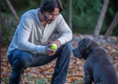 John Wick: Um Novo Dia para Matar ganha novos comerciais. Assista