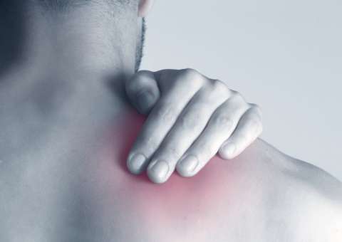 Com poderes cicatrizantes, óleo de planta ajuda a combater espasmos musculares