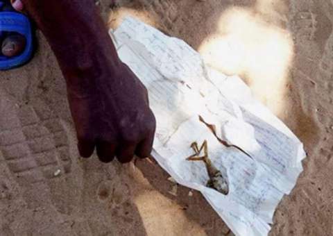 Mãe é obrigada a cremar bebê que nasceu com formato de sapo  