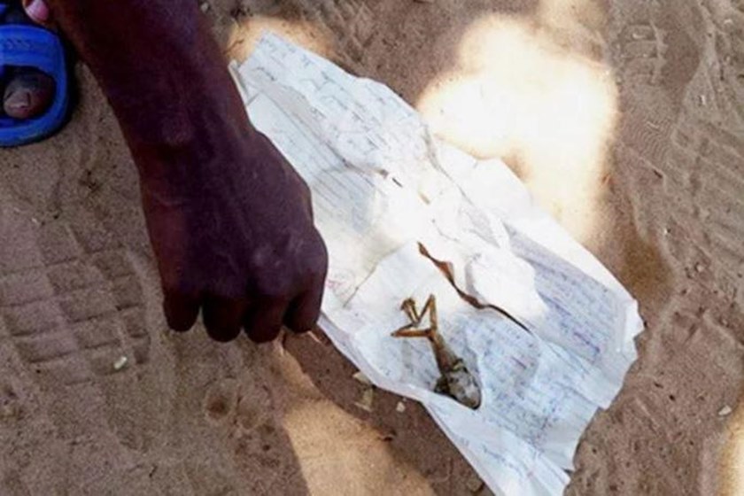 Mãe é obrigada a cremar bebê que nasceu com formato de sapo  