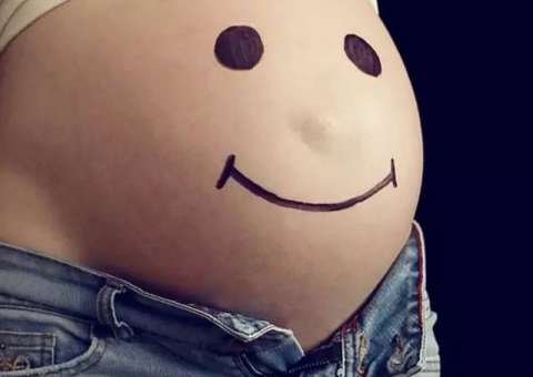 Planta atua na retenção da placenta podendo evitar aborto espontâneo