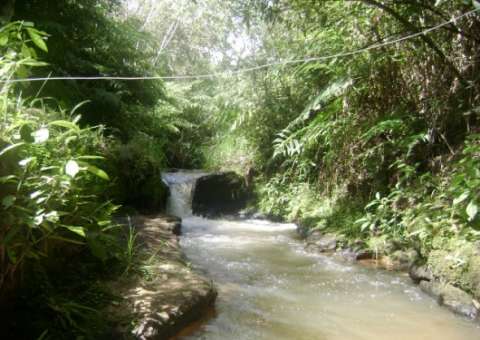  Homem desaparece após cair em córrego 