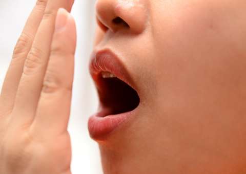 Erva Benta pode combater hemorragia na gengiva e mau hálito 