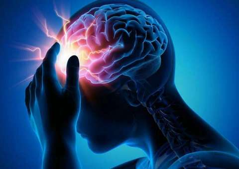 Planta sedativa e relaxante muscular pode auxiliar em casos de epilepsia