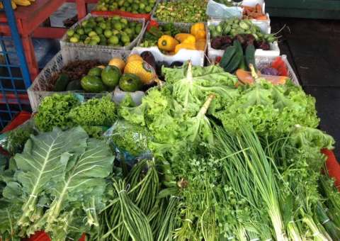 R$9 milhões em frutas e hortaliças deixam de circular no Amazonas 