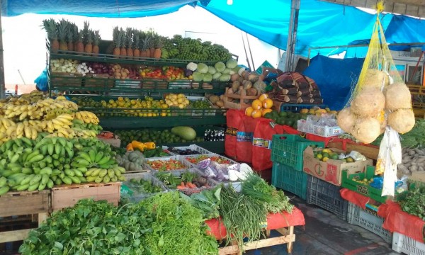 R$9 milhões em frutas e hortaliças deixam de circular no Amazonas 