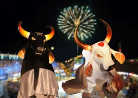 Governo cancela Carnaboi 2017 e apresenta solução 