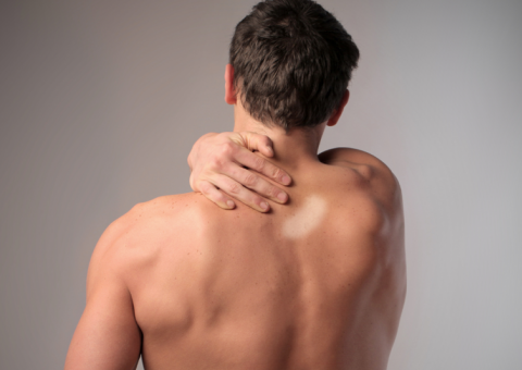 Com efeito cicatrizante, planta ajuda tratar doenças de pele e garganta