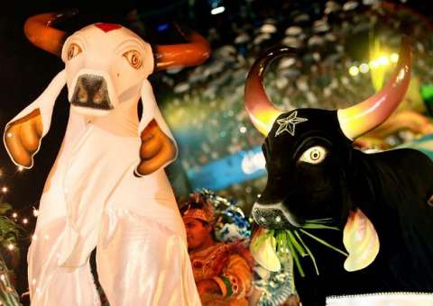 Teatro Amazonas pode ganhar temporada de boi-bumbá