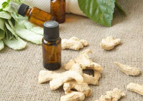 Óleo extraído de planta pode ser usado como anestésico local  