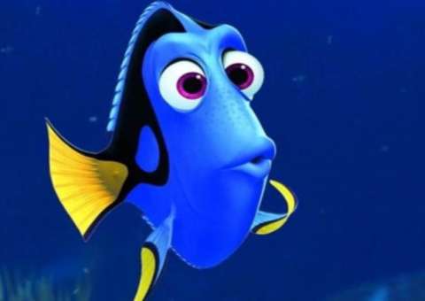 Anda esquecendo de tudo? Saiba como se livrar das falhas de memória