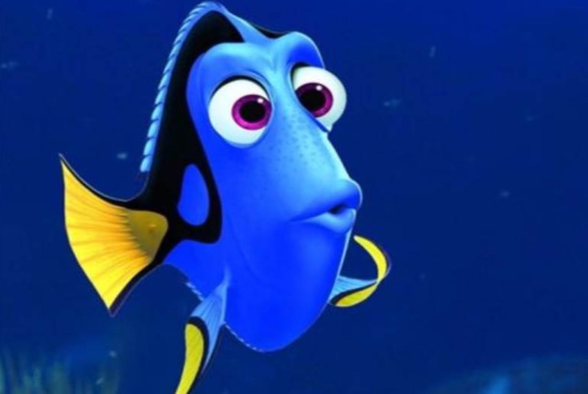 Anda esquecendo de tudo? Saiba como se livrar das falhas de memória