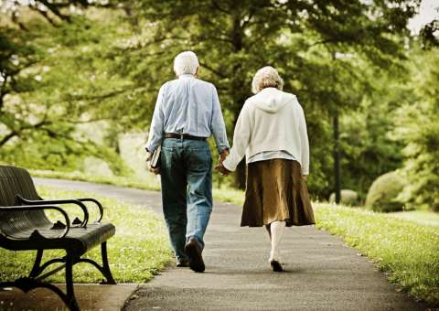 Planta pode ser usada como tônico para idosos