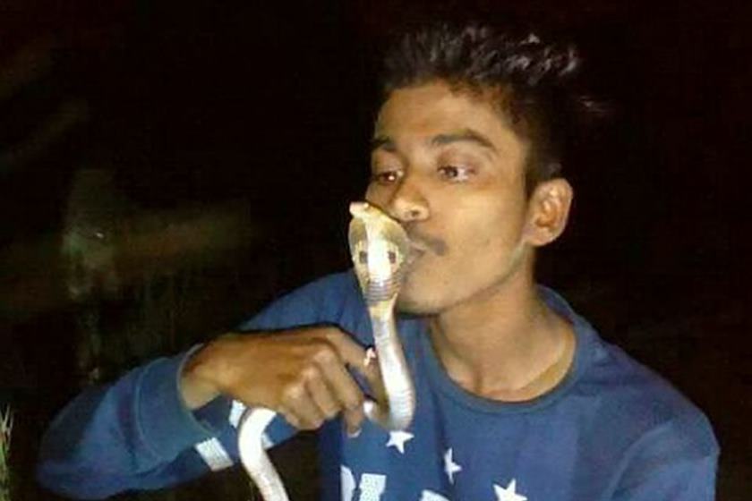 Jovem morre ao tentar beijar cobra na hora da foto 