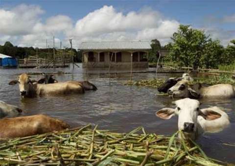 No Amazonas, cheia deixa dois municípios em situação de emergência e sete em alerta 