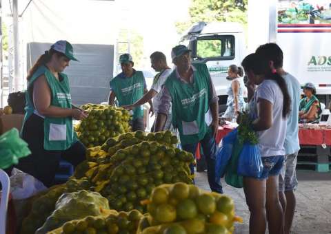 Projeto transforma 'lixo' de feiras em adubo e ração para animais 