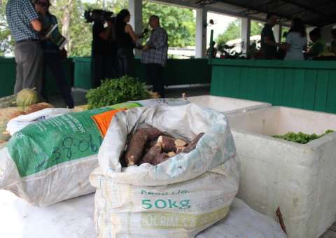 Sesc Amazonas abre processo seletivo para cadastramento de instituições assistenciais