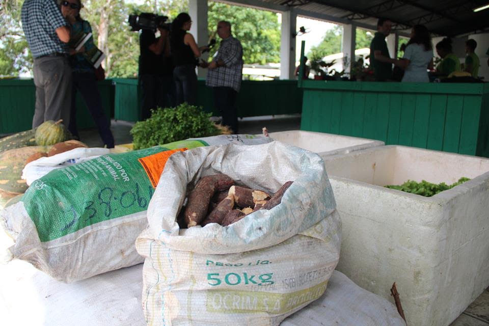 Sesc Amazonas abre processo seletivo para cadastramento de instituições assistenciais