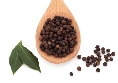 Pimenta do Reino estimula absorção de nutrientes