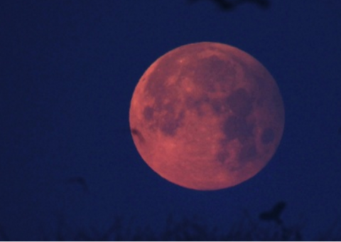 Veja fotos do primeiro eclipse lunar de 2017