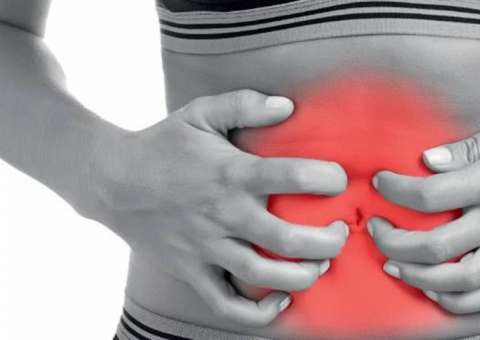 Sementes podem combater vermes intestinais