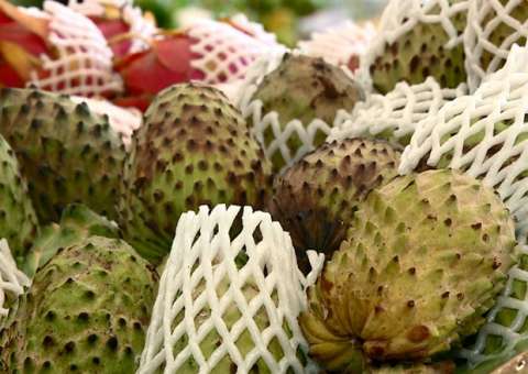 Fruta revela poder em prevenir câncer e outras doenças