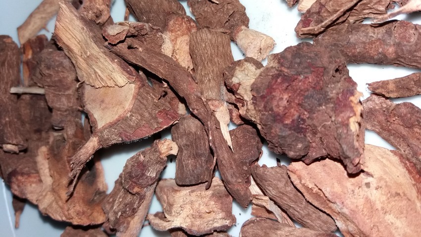 Aliada do rejuvenescimento, planta pode aliviar sintomas da menopausa 