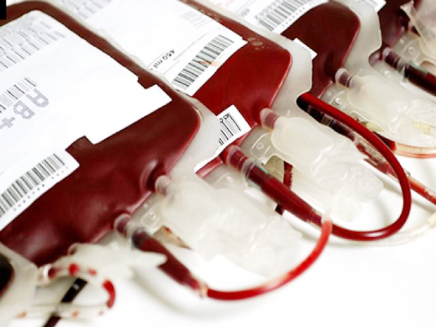  Servidores do TCE-AM doam sangue ao Hemoam