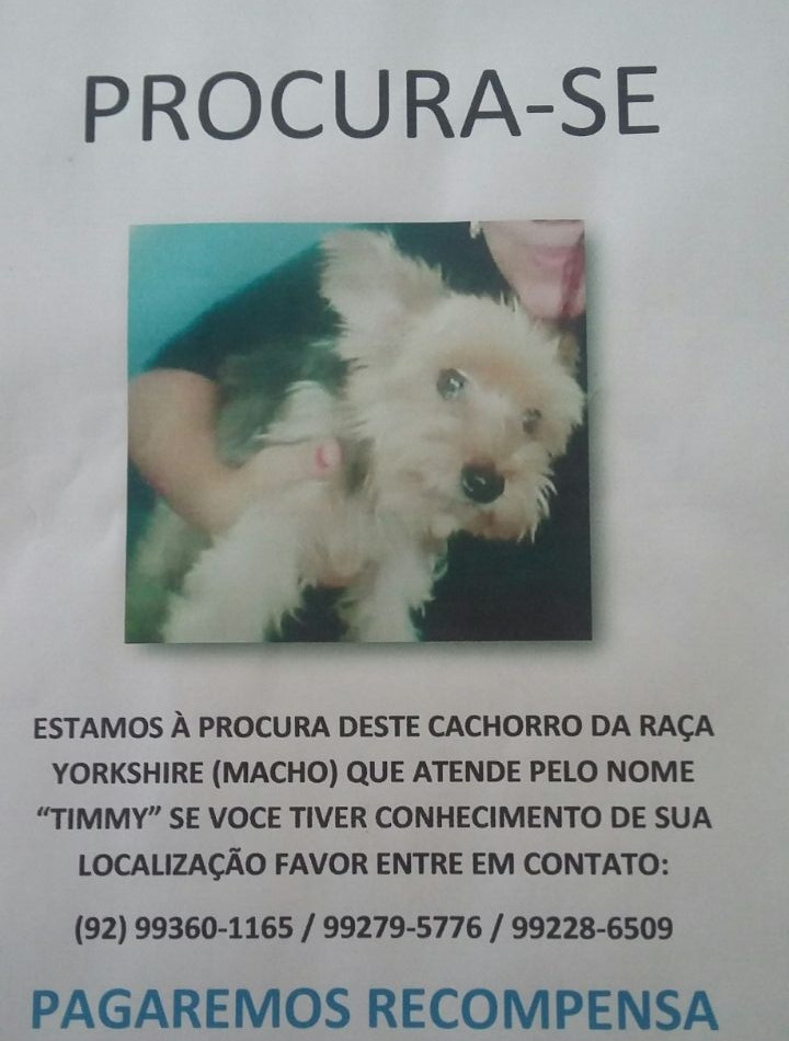 Idosa procura 'seu melhor amigo' que está perdido em Manaus