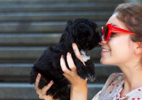 Cães imitam a personalidade dos donos, diz pesquisa