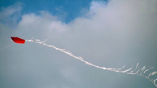 Briga de adolescentes por causa de papagaio termina em morte 