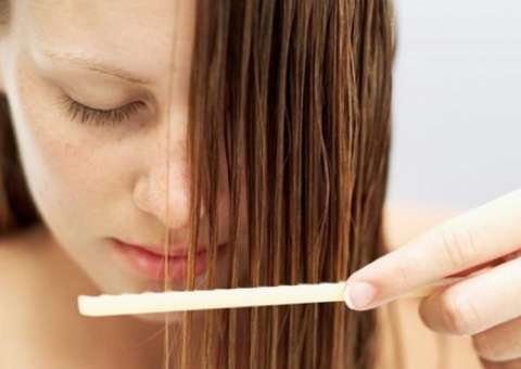 Com efeitos medicinais, planta ajuda a fortalecer o cabelo   
